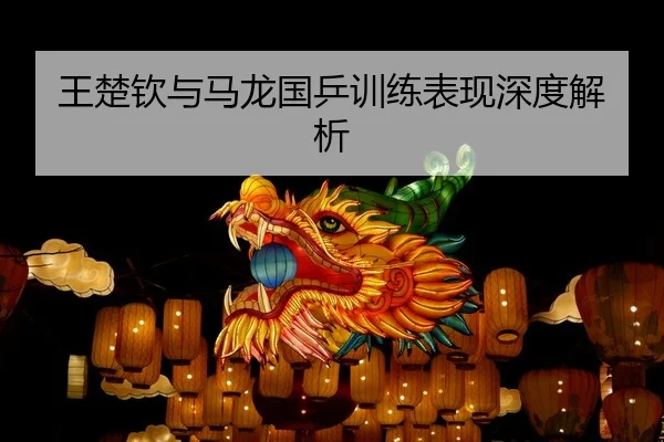 王楚钦与马龙国乒训练表现深度解析